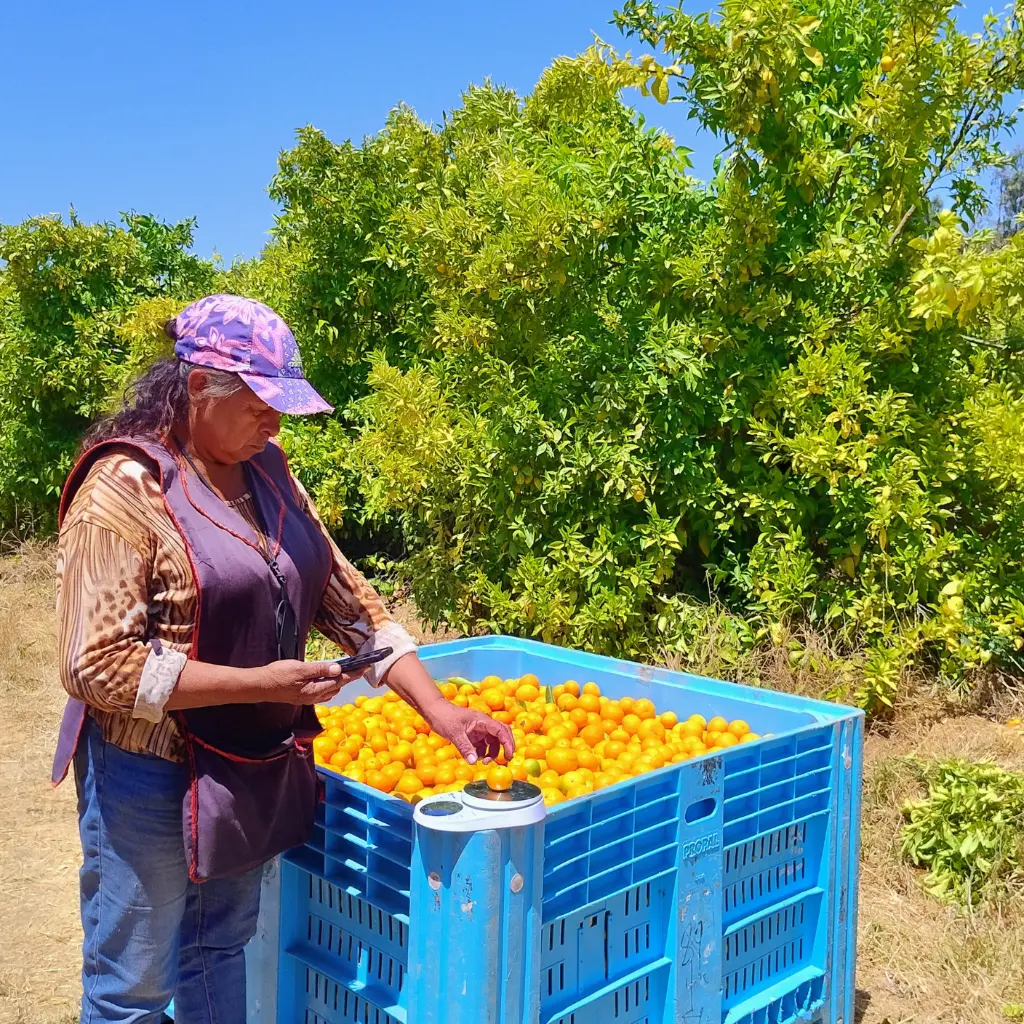 Recursos varios (17).webp